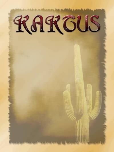 logo Kaktus Project